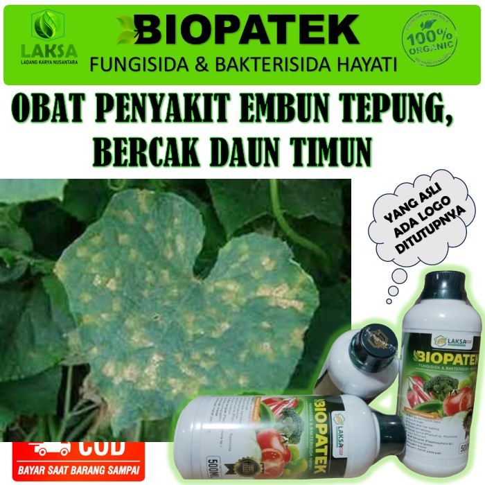 BIOPATEK Fungisida Hayati 500ml Mengatasi Embun Tepung daun timun, Kresek Daun Timun Busuk Buah Layu