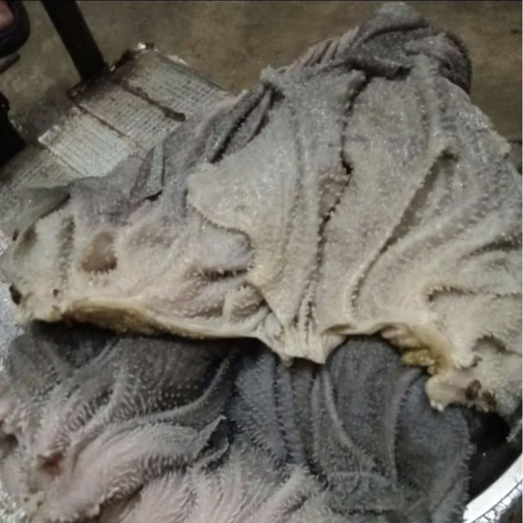 babat sapi jarit 1 kg