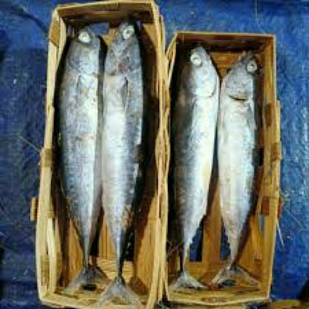 PINDANG SALEM SEBESEK ISI 2 IKAN