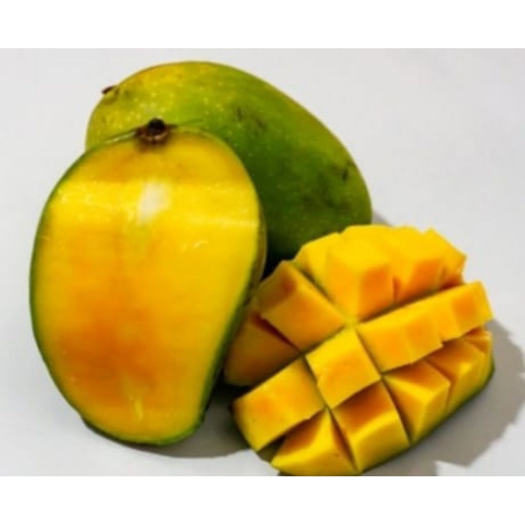 Mangga Harum Manis Probolinggo