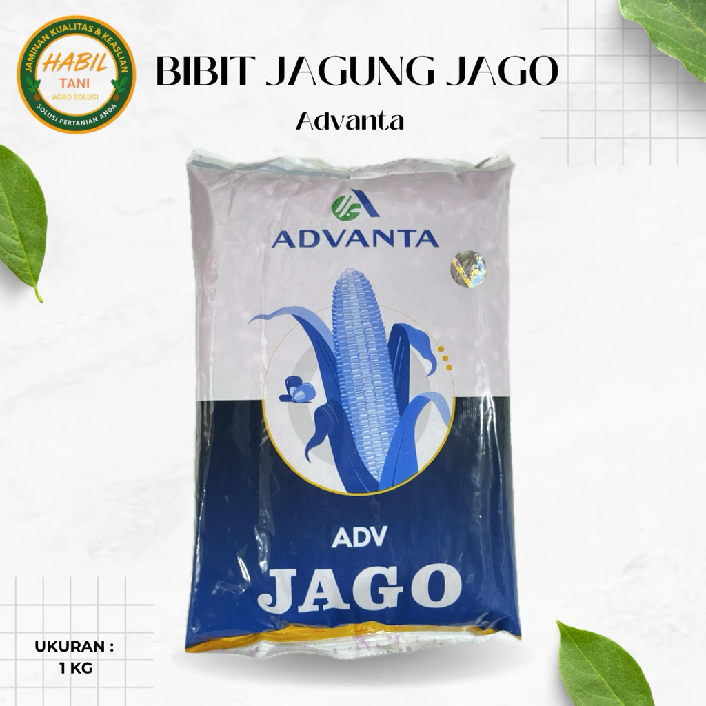 Bibit JAGUNG JAGO_Advanta_1 kg