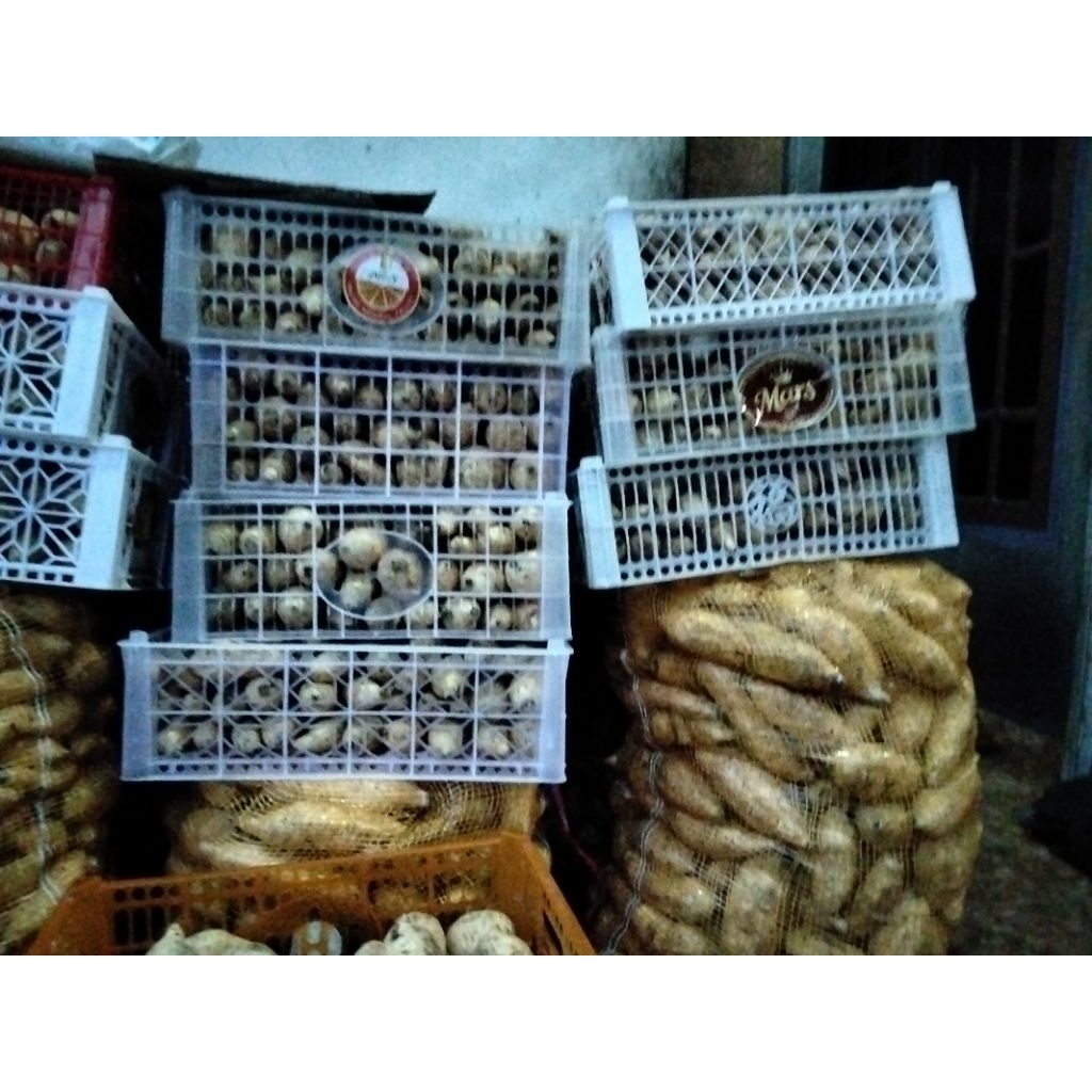 ubi madu cilembu spek oven