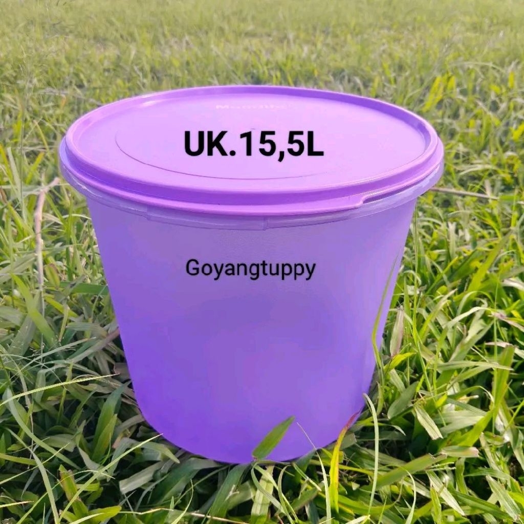 Vigan Moorlife  (1 pcs)  ori 100%