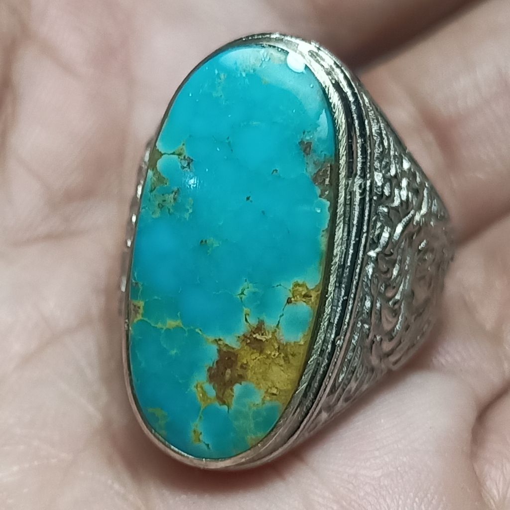 Pirus persia biru tosca semipolos