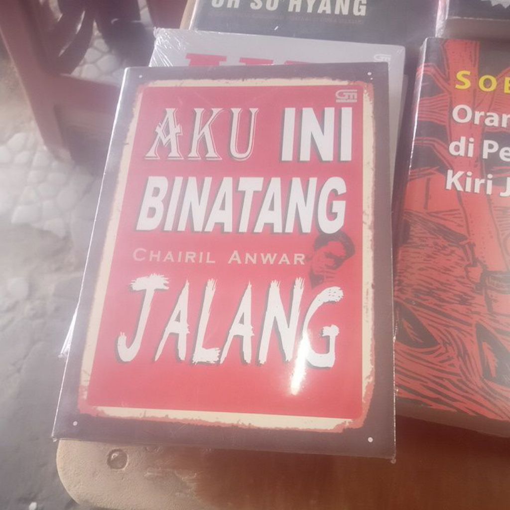 buku AKU INI BINATANG JALANG