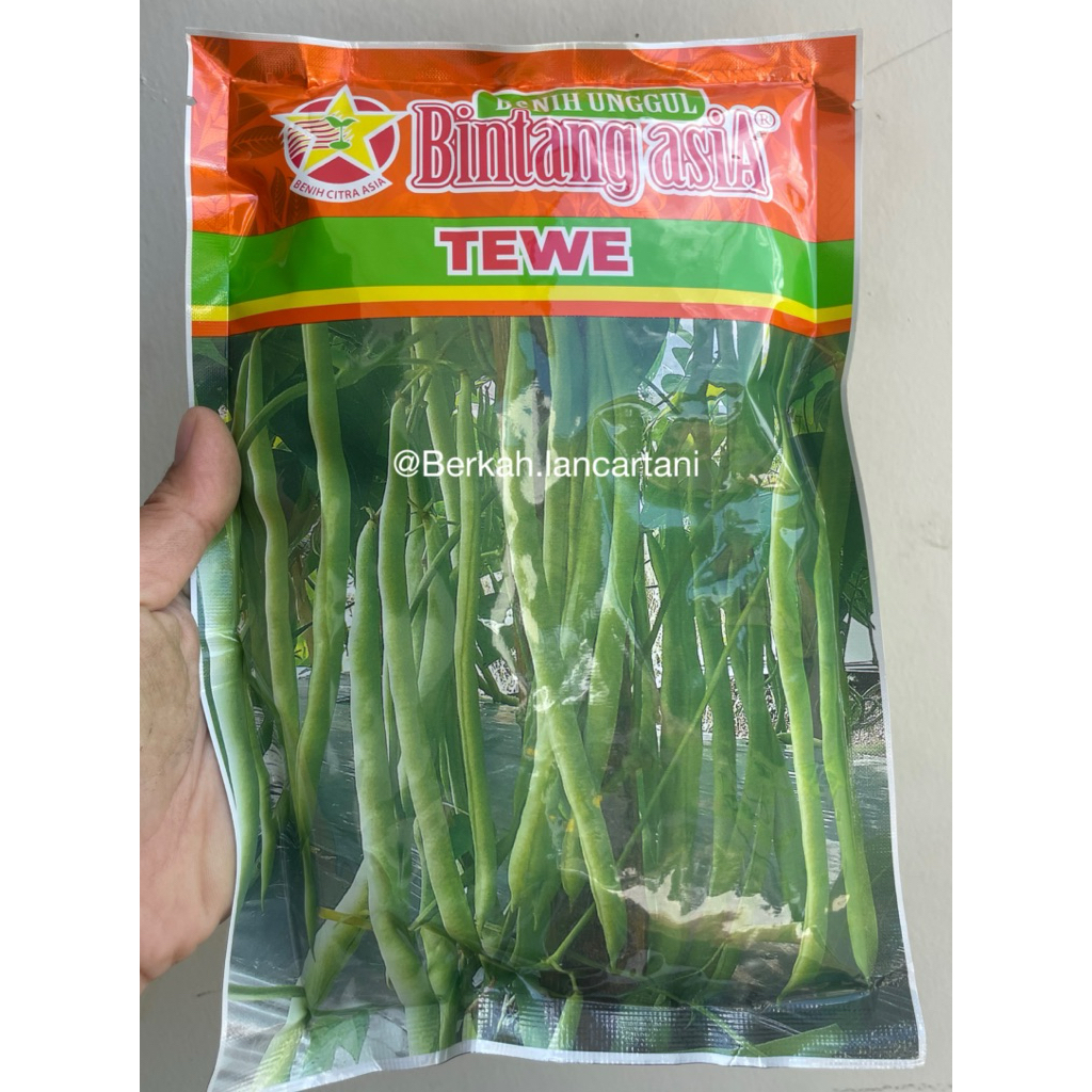 Buncis TEWE Bintang Asia