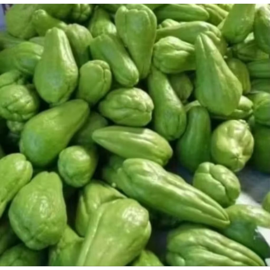 Labu siam fresh 1 kg/waluh siam/labu sayur