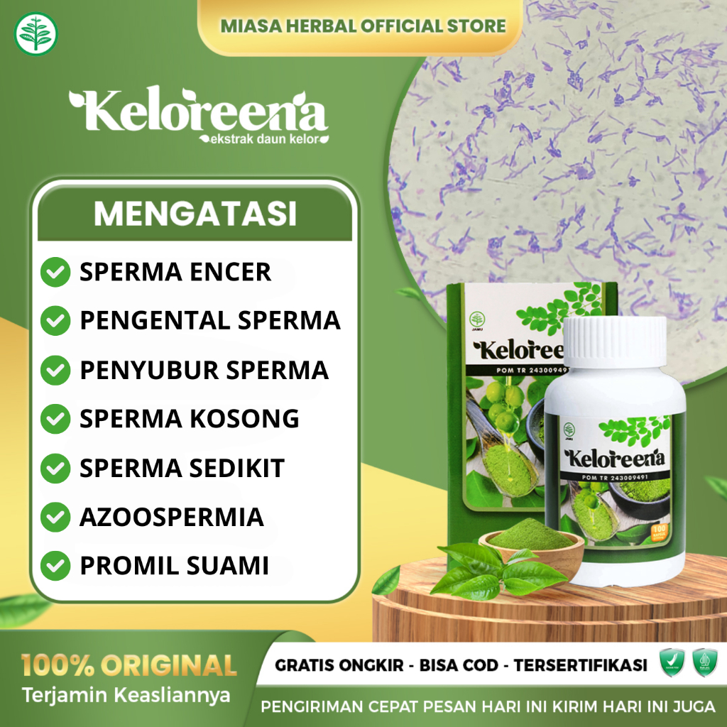 Obat Sperma Encer Azoospermia Sperma Kosong Penyubur Sperma Promil - Keloreena Kapsul Daun Kelor