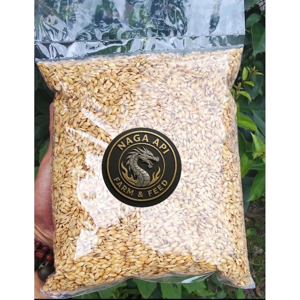 GABAH PADI PUTIH PREMIUM/PAKAN AYAM BANGKOK  1 kg
