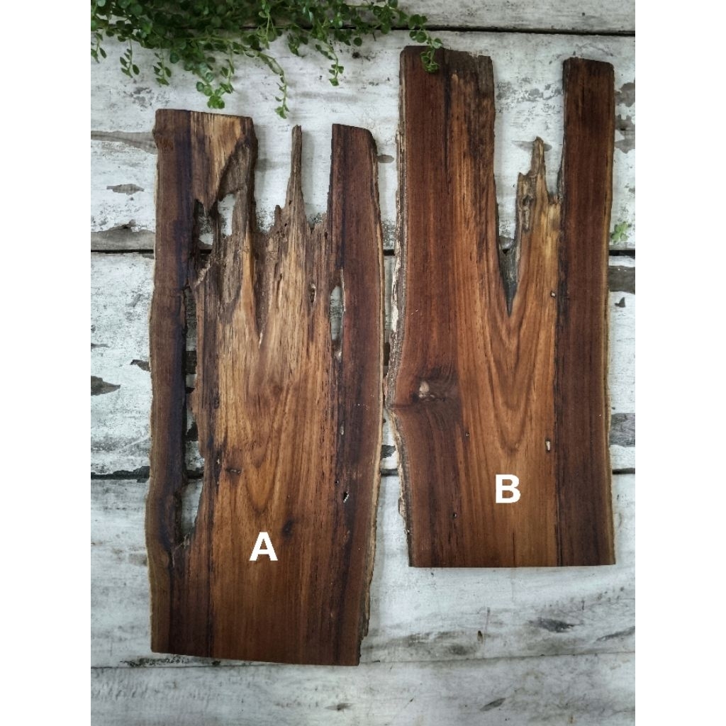 Wood Slice Kayu Jati Rustic Tipisan