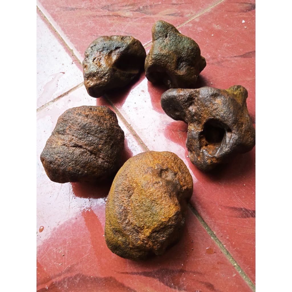 batu meteorit nempel Magnit kuat