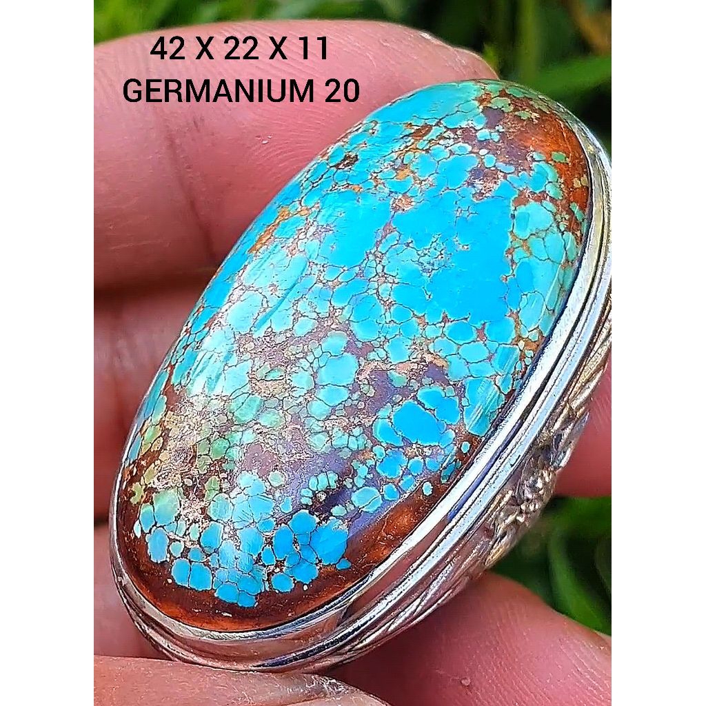 pirus Persia lawasan jumbo mantap