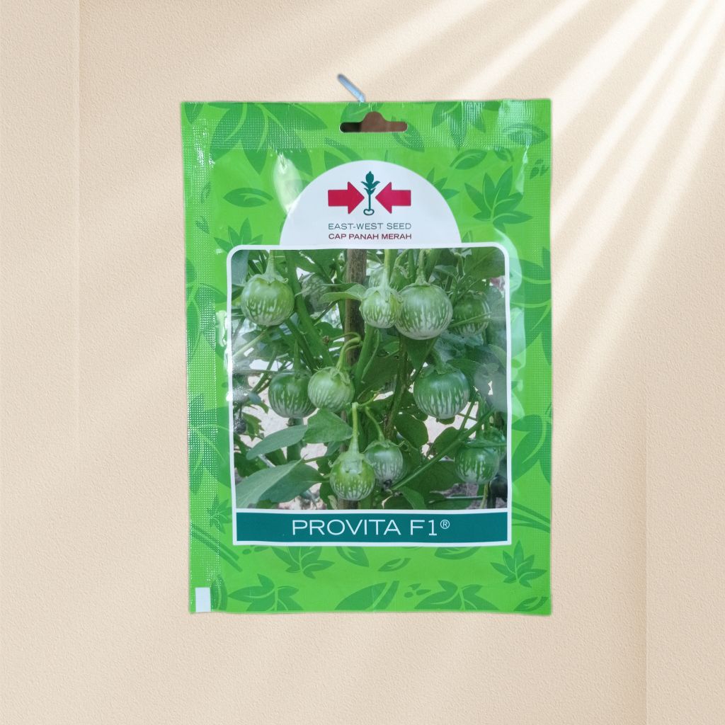 PROVITA F1 400btr benih terong lalap