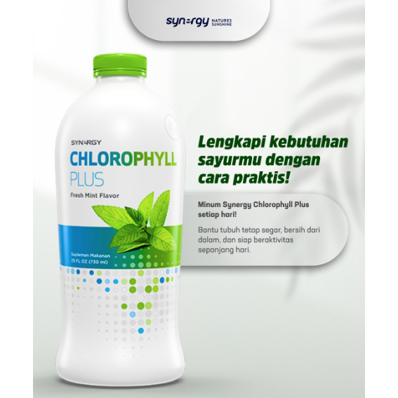 CHLOROPHYLL PLUS (25 Oz) Synergy Solusi Minuman Klorofil Herbal