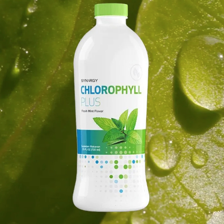 CHLOROPHYLL PLUS (25 Oz) Synergy Minuman Klorofil Cair Premium