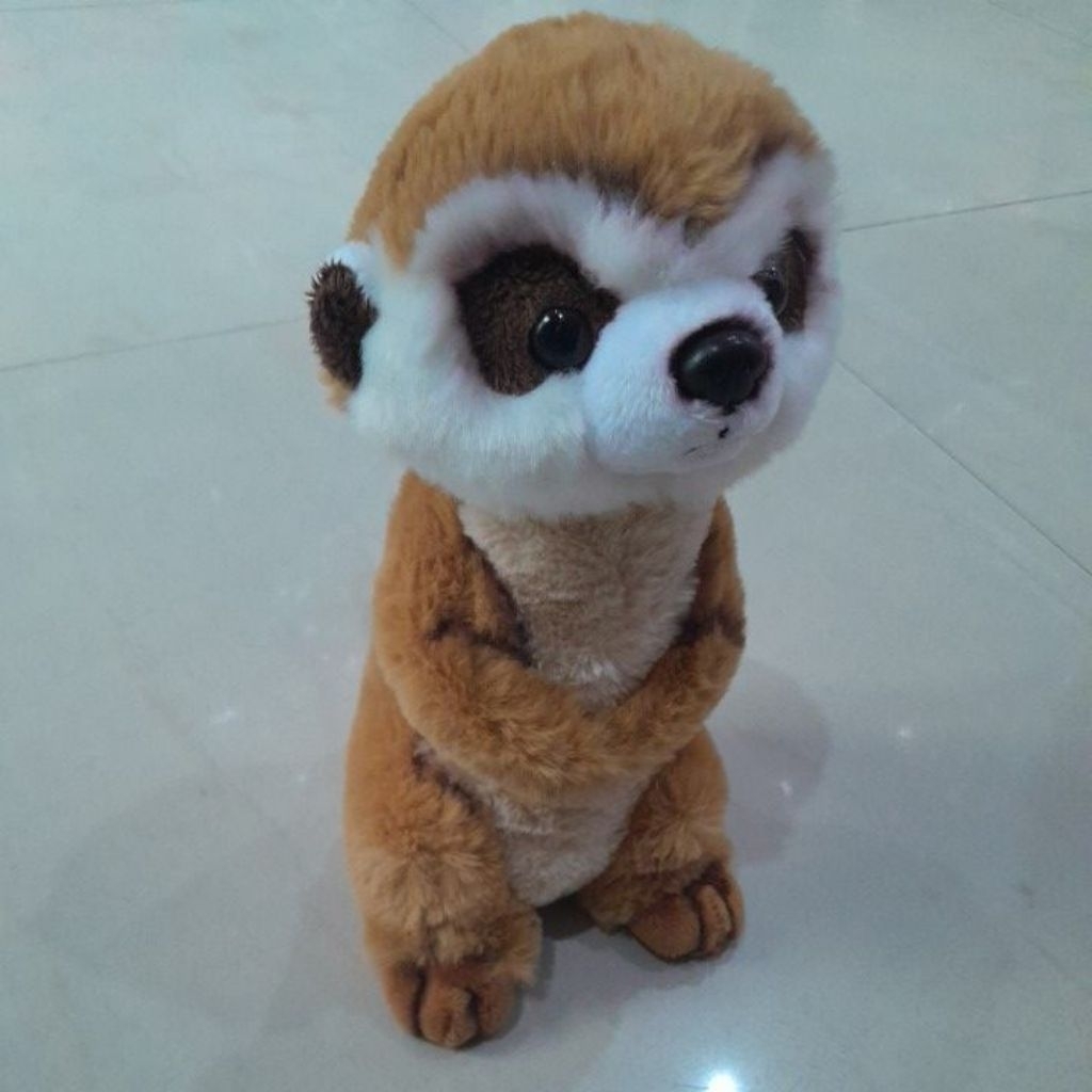 Boneka Animal Edukasi Meerkat Boneka Koleksi Garangan Kecil Mirkat Plush Dolls