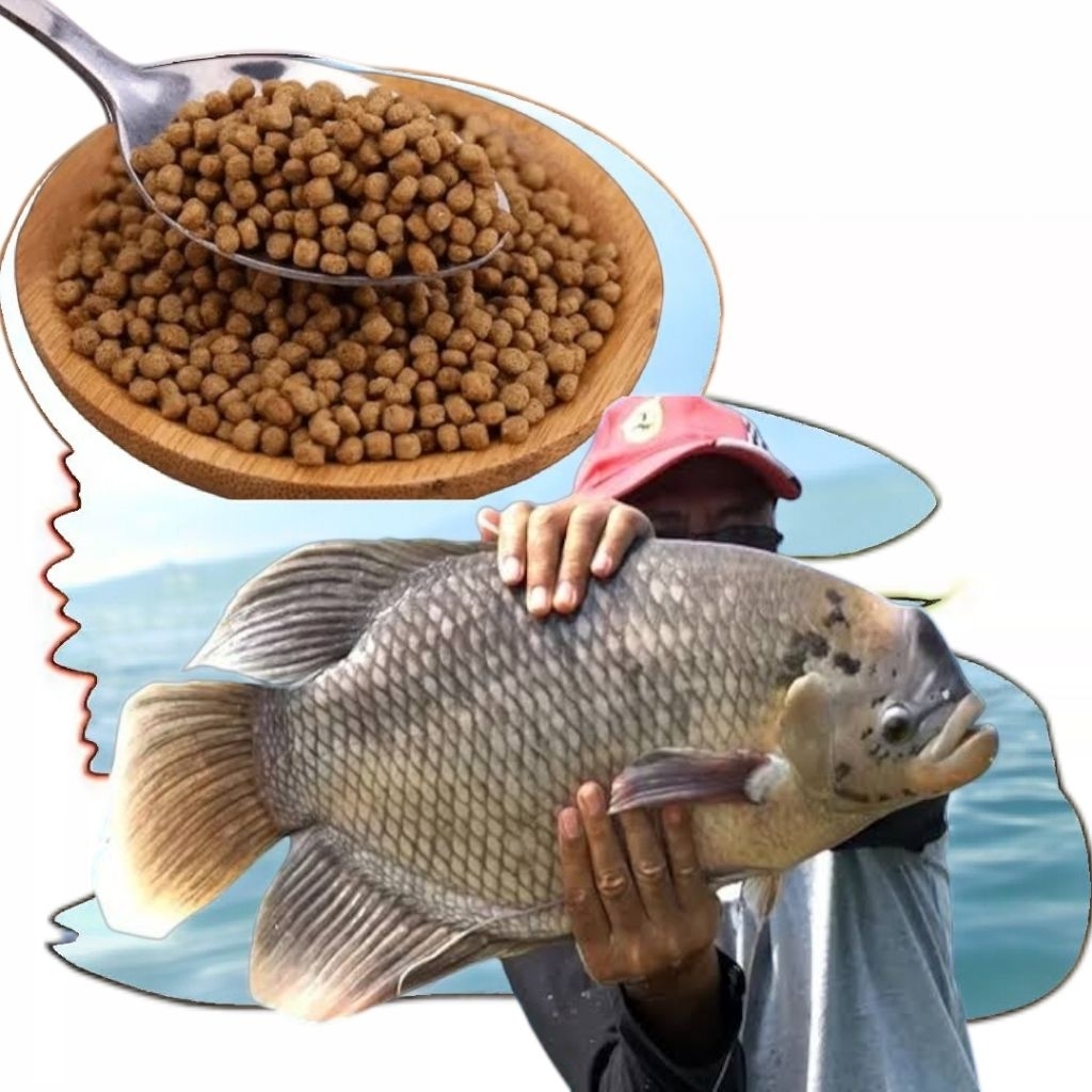100 Gram Pakan Ikan Gurami Pelet ikan Gurami