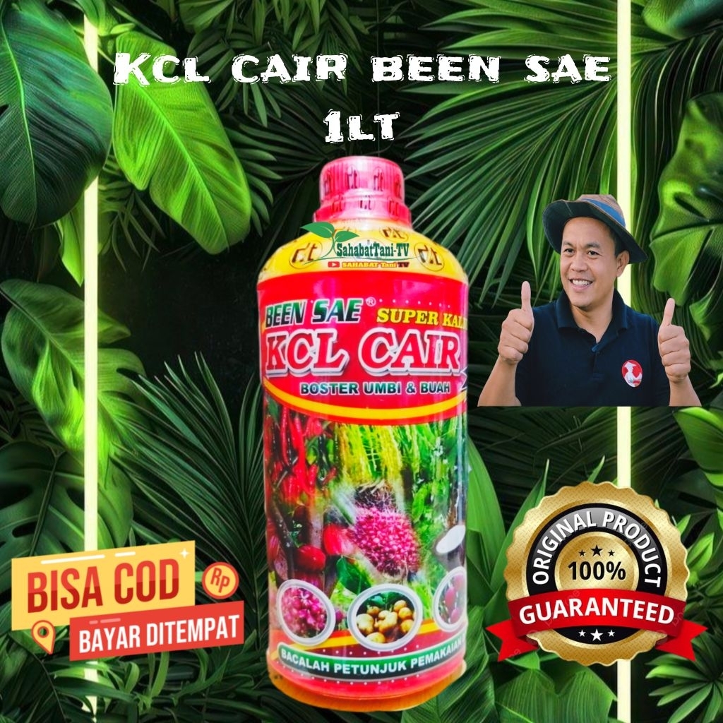 KCL CAIR BEEN SAE 1LT SUPER KALIUM