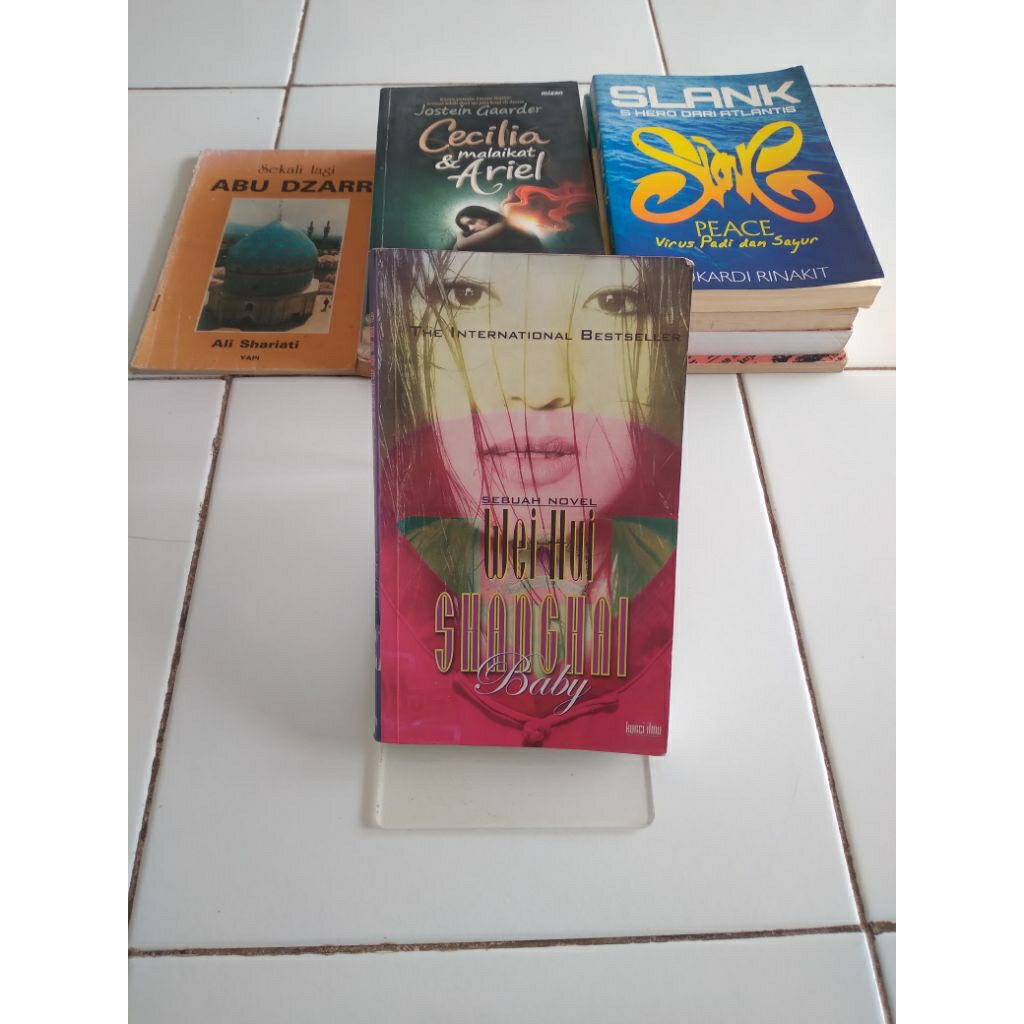 wei hui shanghai baby