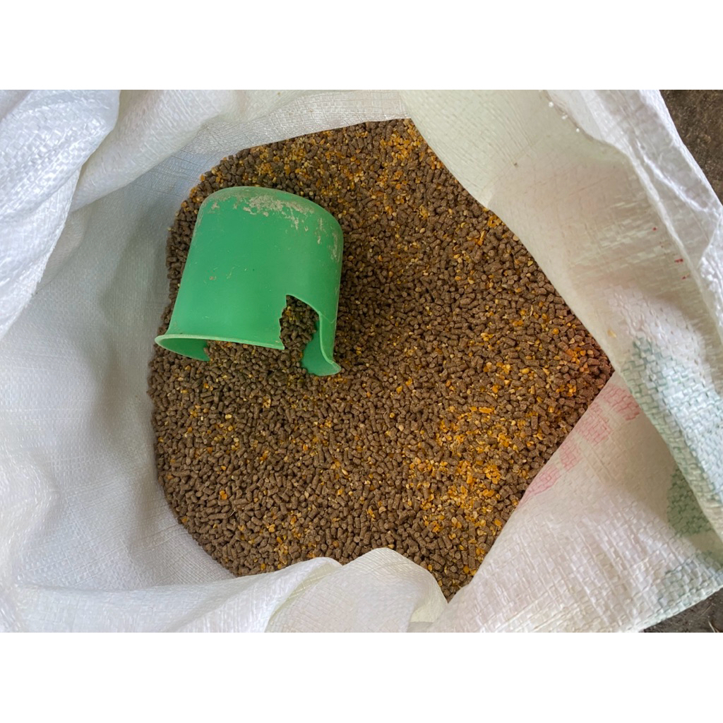 Pakan jadi ayam petelur Hiprovite 324KJ