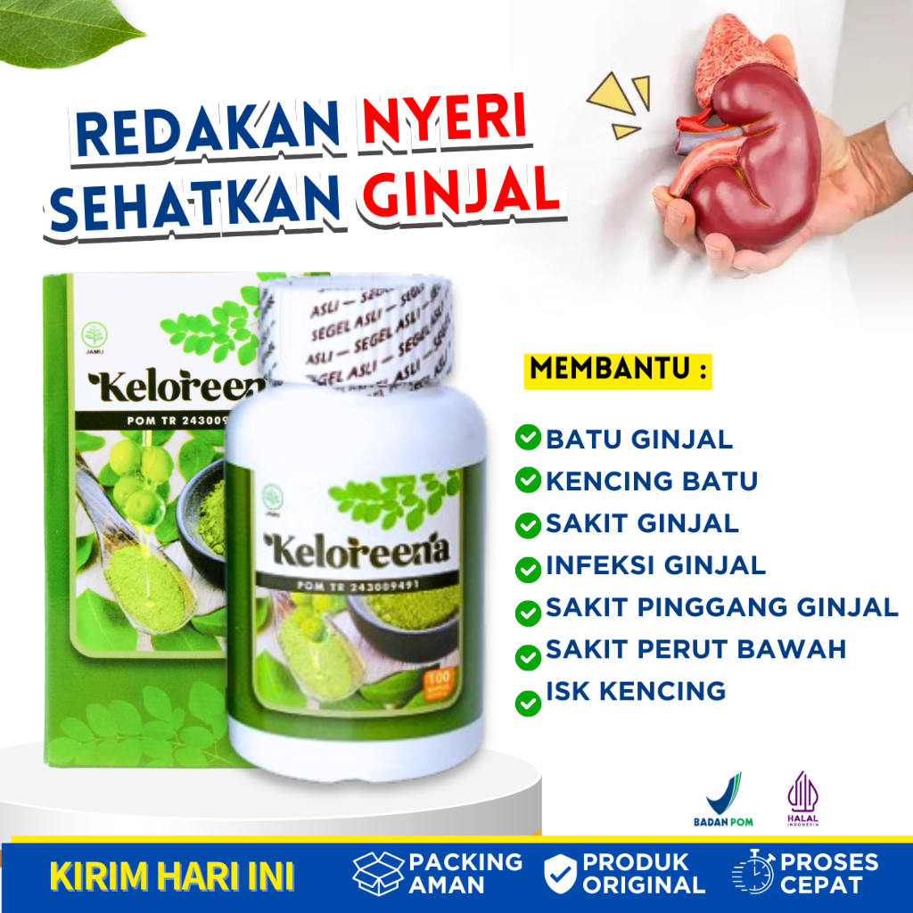 Obat Penurun Kreatinin dan Ureum Ginjal Bengkak Infeksi Gagal Ginjal Kronis KELOREENA