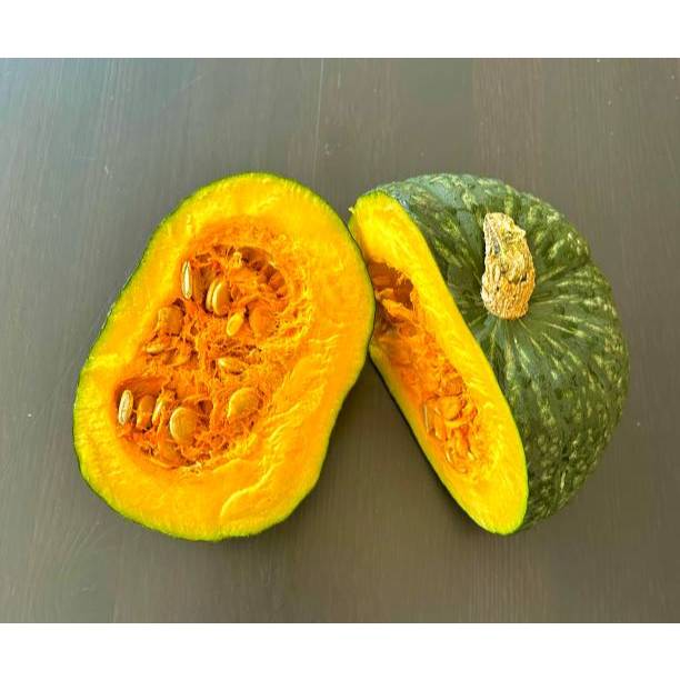 KEBUN PETANI BENIH LABU KABOCHA