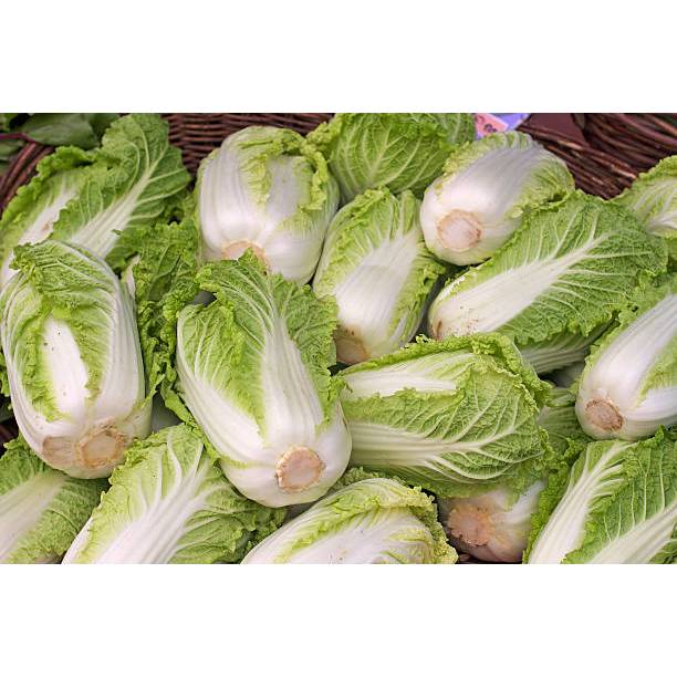 KEBUN PETANI BENIH SAWI PUTIH SLOBOR