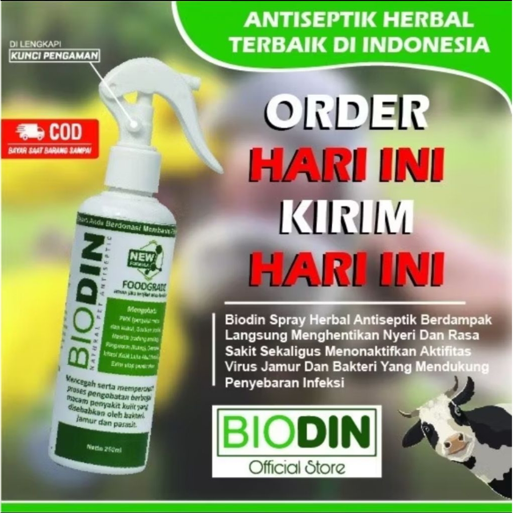 PAKET HEMAT 10PCS BIODIN 250ML OBAT PMK SAPI