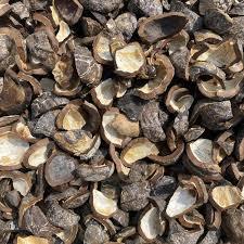 Kulit Kemiri Cangkang Tempurung - Areng Cangkang Kemiri Berat Bersih 50Kg Arang Kulit Kemiri Super