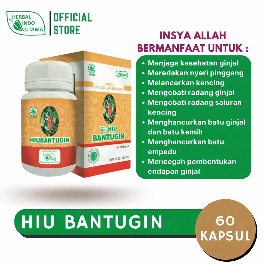 HIU BANTUGIN | Obat Batu Ginjal Penghancur Batu Ginjal