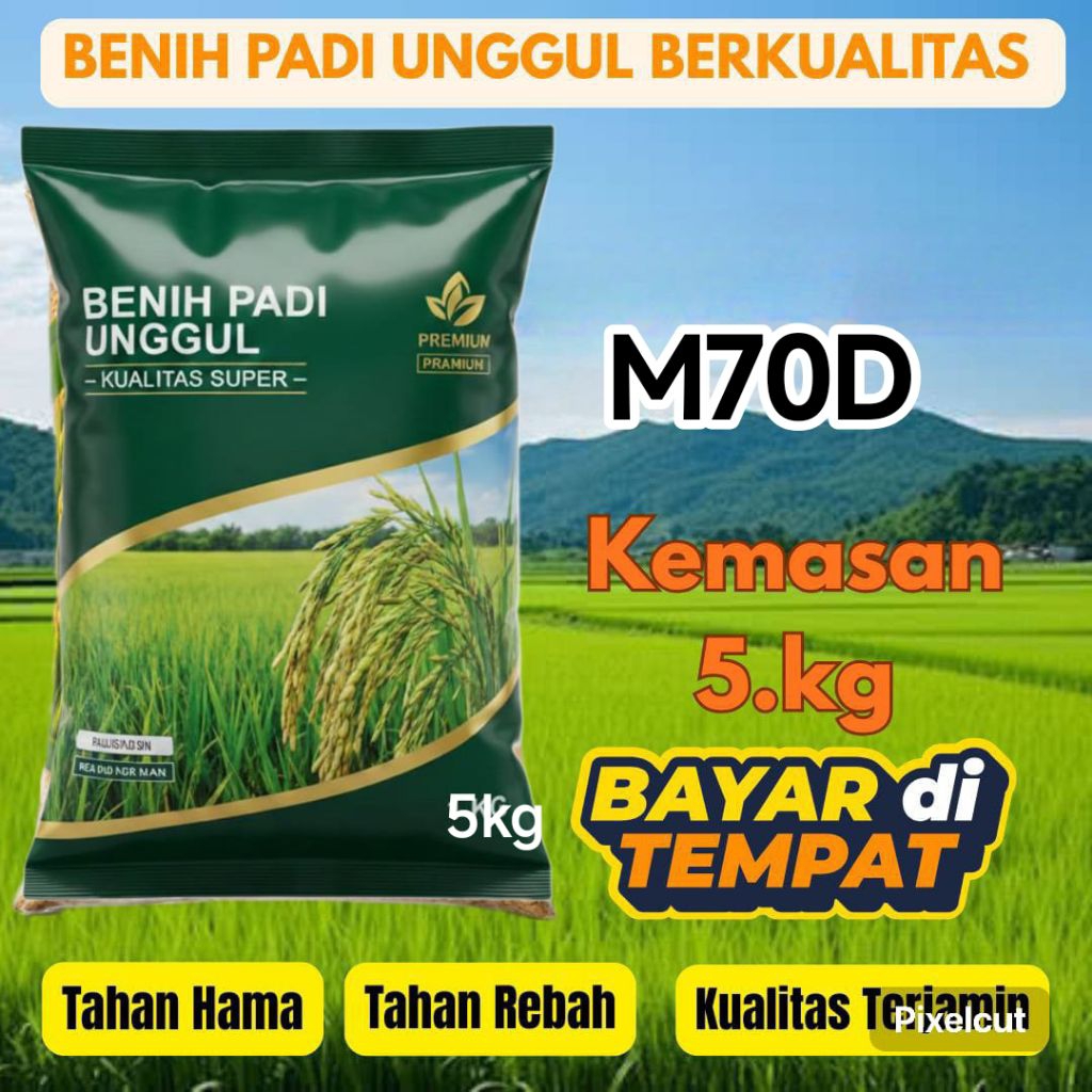 benih padi M70D isi 5kg