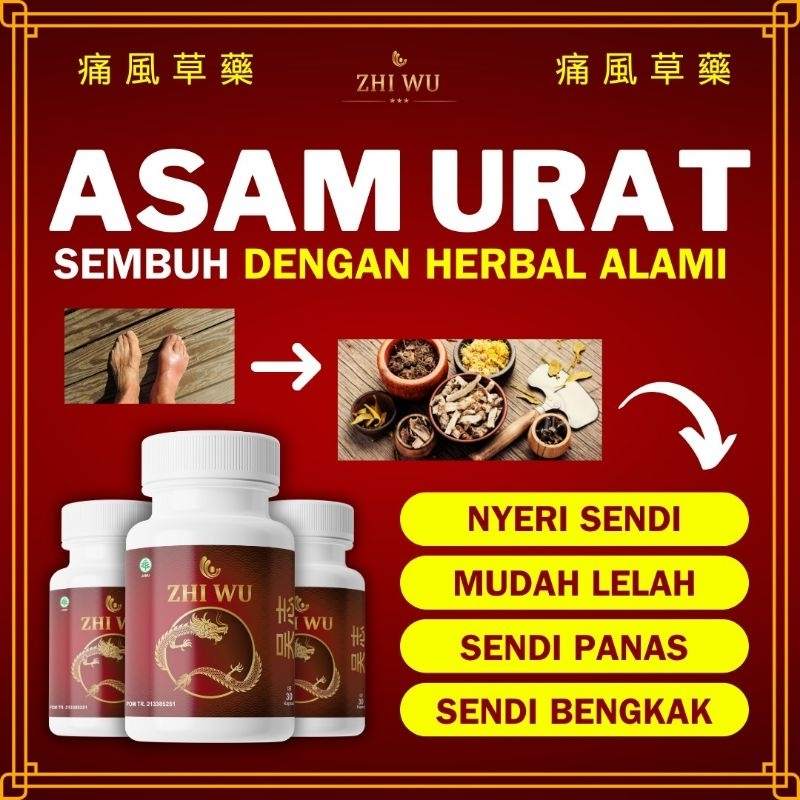 ZHI WU Obat Herbal Cina Saraf Kejepit Nyeri Pinggang Sendi Saraf Kejepit Asam Urat