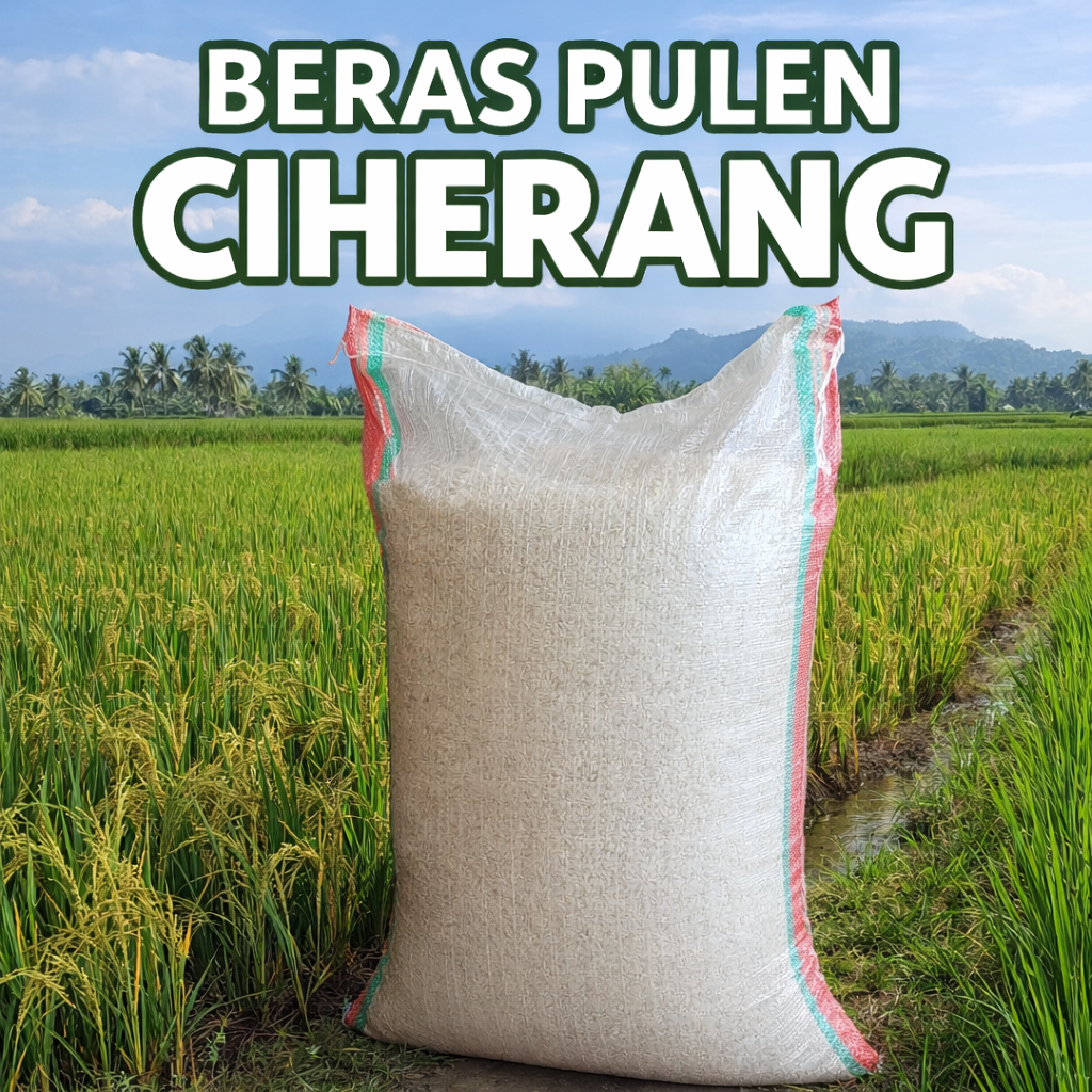 Beras Ciherang Asli Petani Kebumen Pulen 3Kg /5Kg /10Kg /25Kg Murah