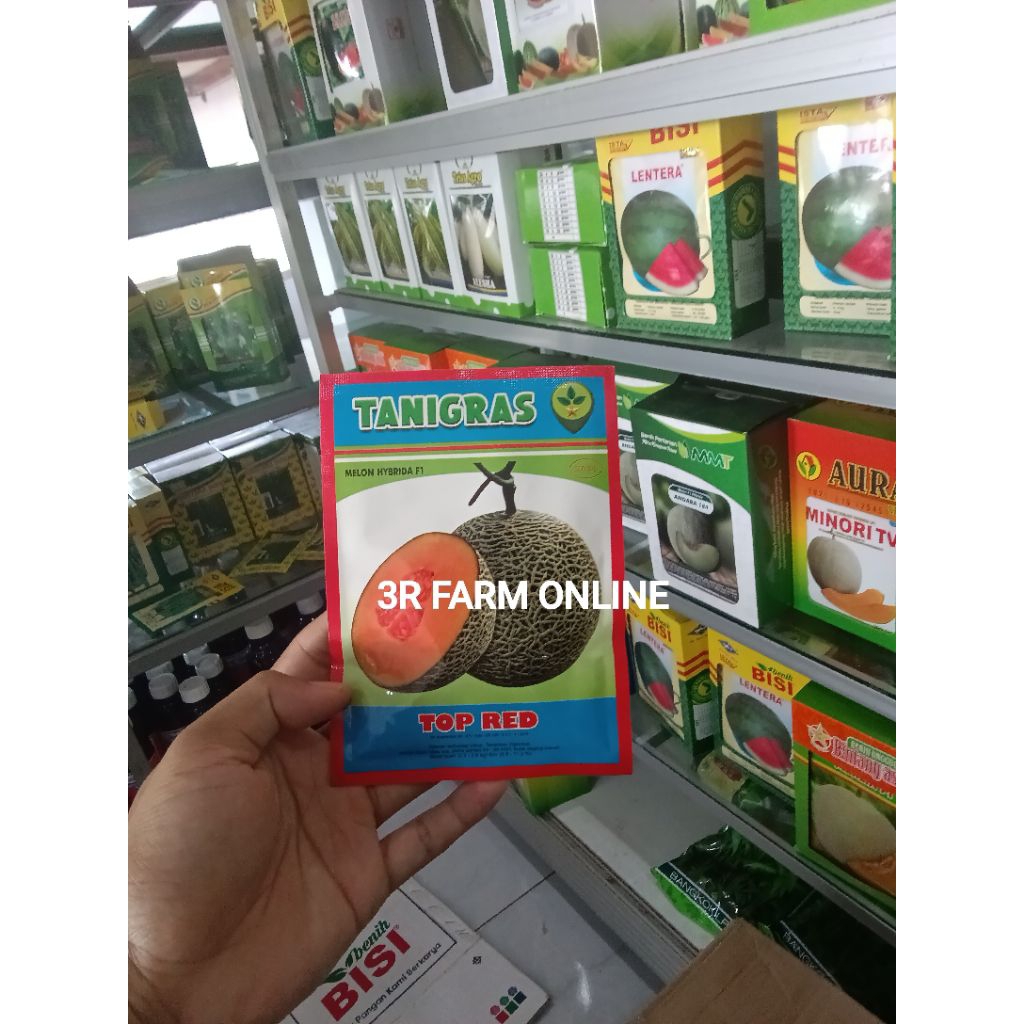 Benih Bibit Melon Top Red F1 REPACKING isi satu Butir Kadaluarsa 2024 lama jangan diorder