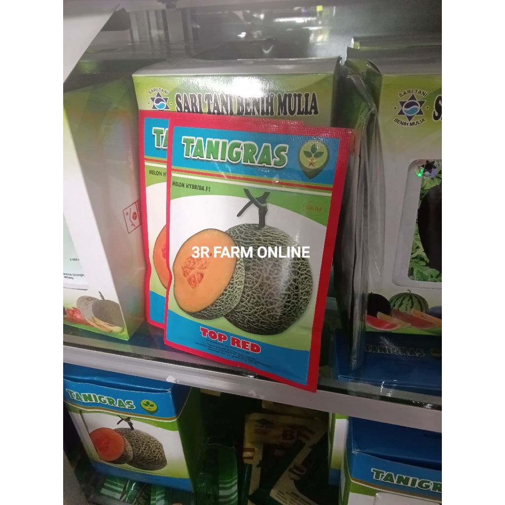 Benih Bibit Melon Top Red F1 (Melon Daging Orange Merah Jumbo) isi 500 Butir Kadaluarsa 2027 Terbaru