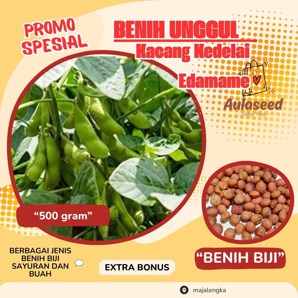 Benih Biji Kacang Kedelai Edamame Ryoko 75 Paket 500 Gram Benih Biji + Bonus