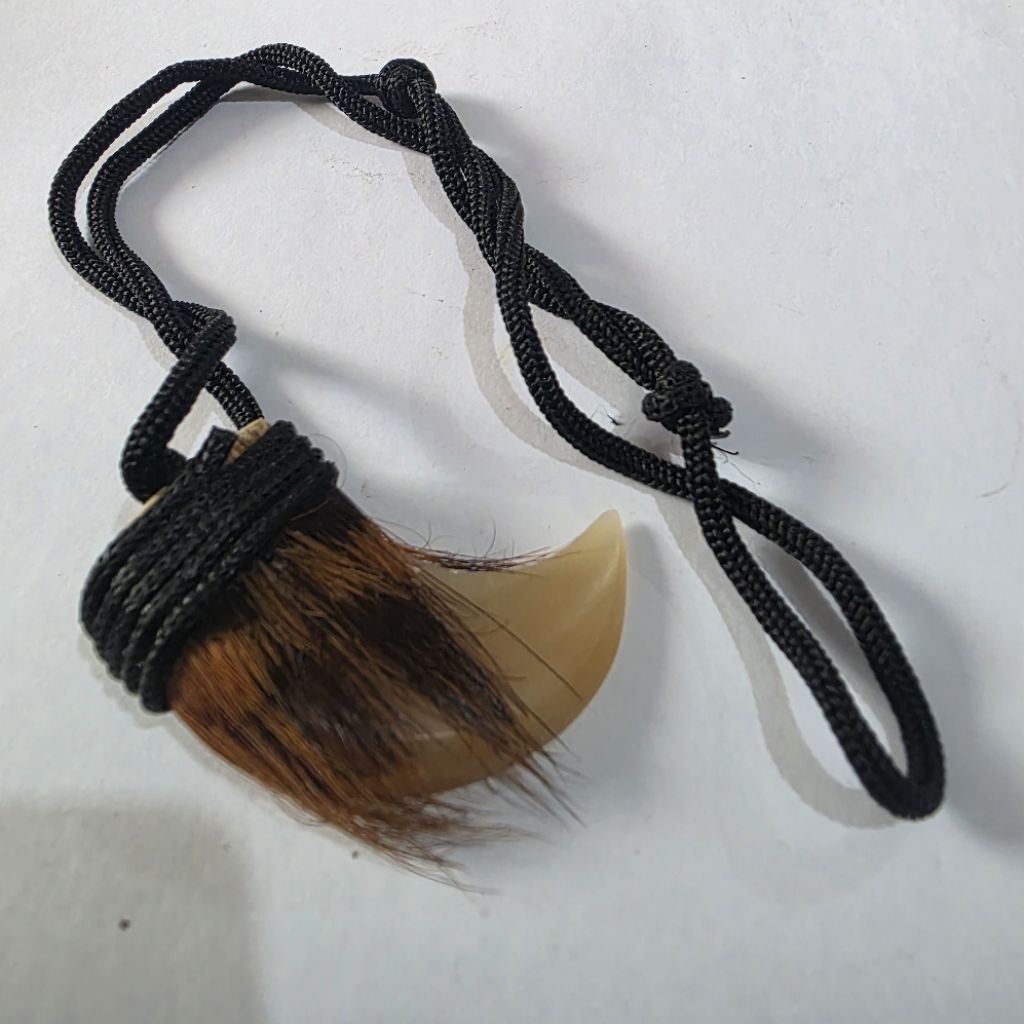 Leontin Kalung Tarcan Kucan atau Tarkung