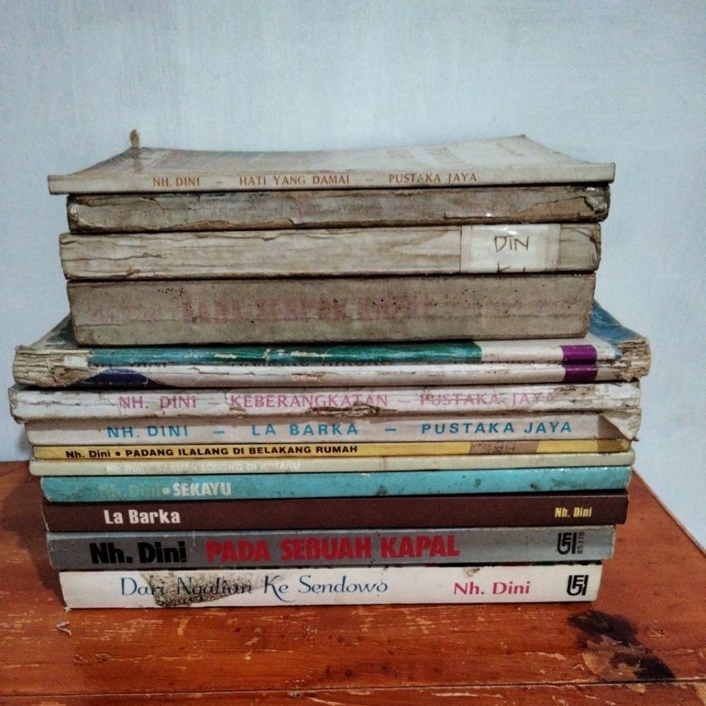 Buku Karangan NH Dini