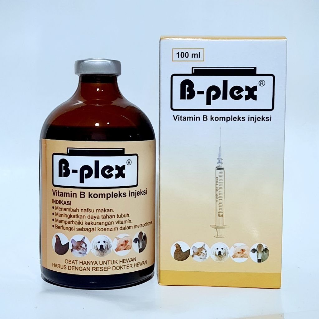 BPLEX PYRIDAM 100 ml Vitamin B komplek plus B12 Vitamin hewan ternak
