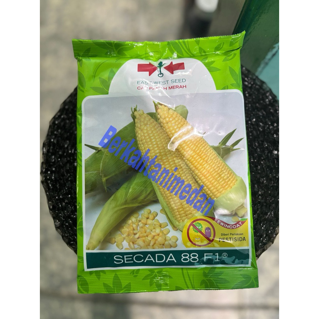 Benih Jagung Manis Secada 88 F1 isi 1800 butir
