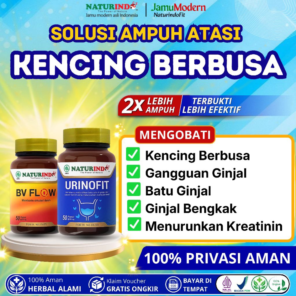 Obat Herbal Kencing Berbusa Batu Ginjal Gangguan Ginjal Urinofit Naturindo