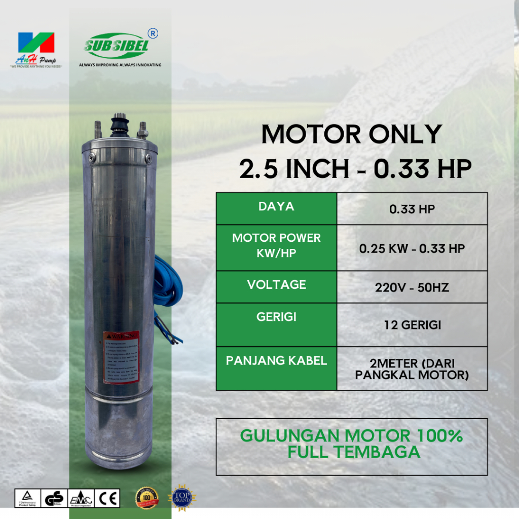 ONLY MOTOR POMPA SATELIT 2.5 INCH 0.33 HP POMPA AIR SUBSIBEL - ANH PUMP