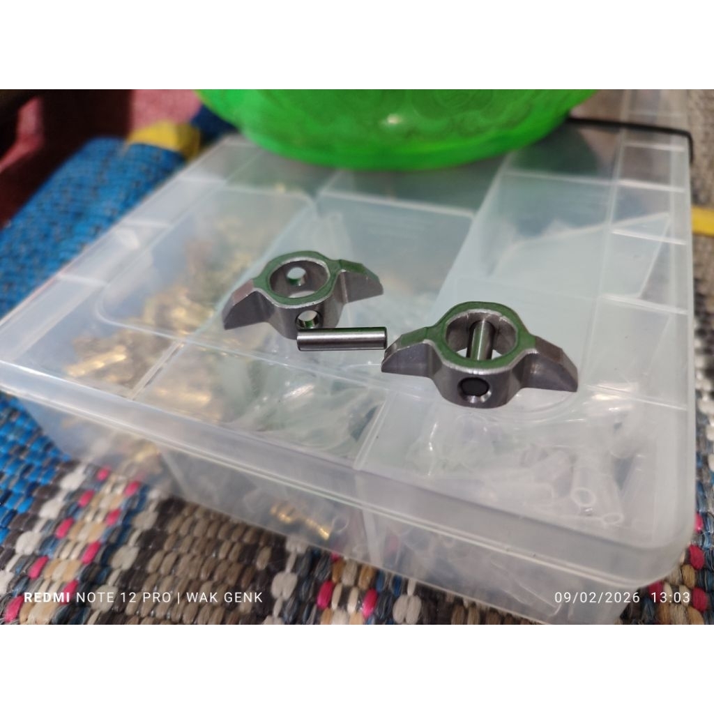 Gigi Delco kupu kupu Zebra espass