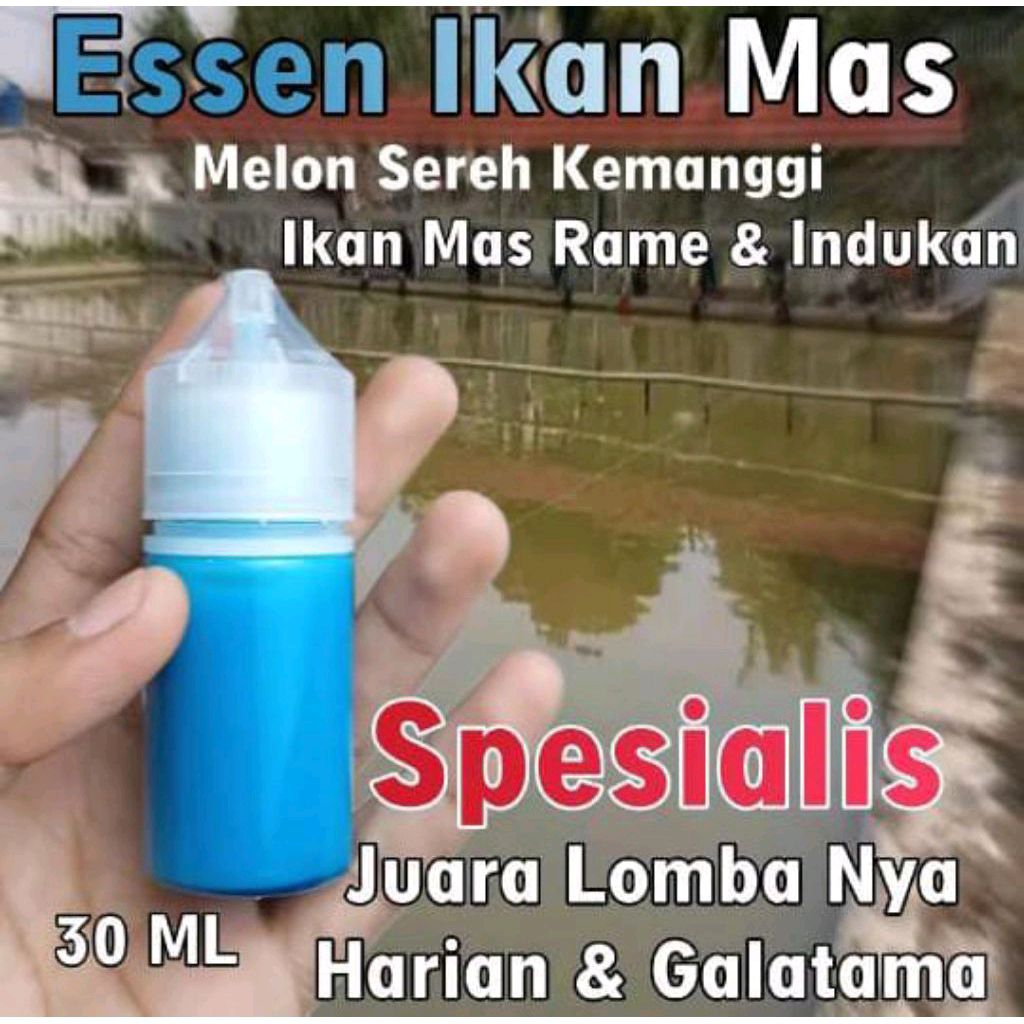 Essen Oplosan Ikan Mas, Essen Ikan Mas Paling Gacor, Essen Ikan Mas Indukan, Essen Ikan Mas Rame, Es
