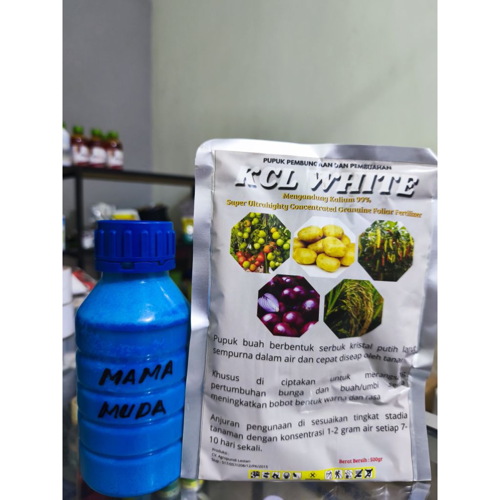 mama_muda_&_KCL_White