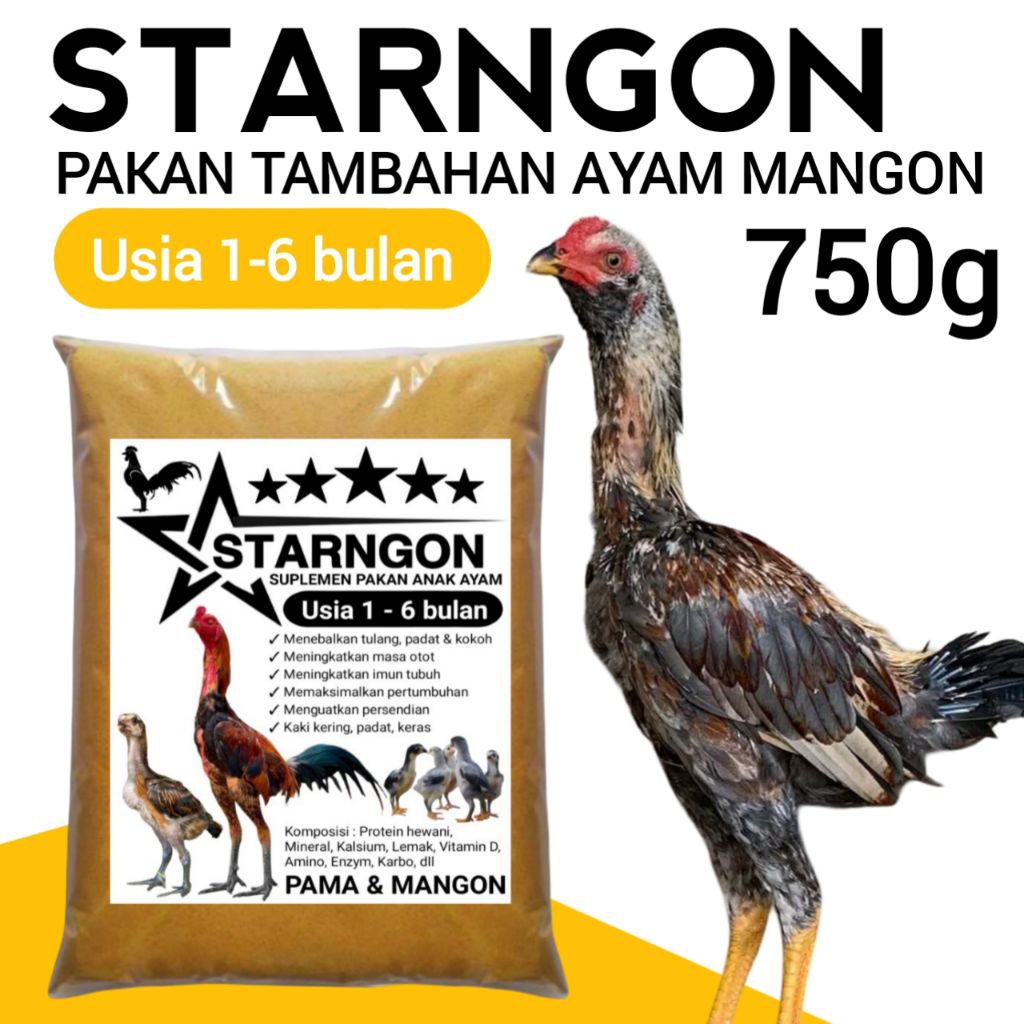 Suplemen pakan ayam mangon