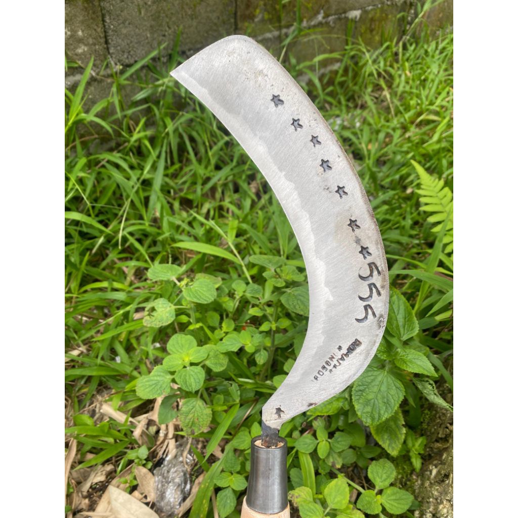 arit deres sadap nira kelapa baja isen selap4 cap555 Wonosobo