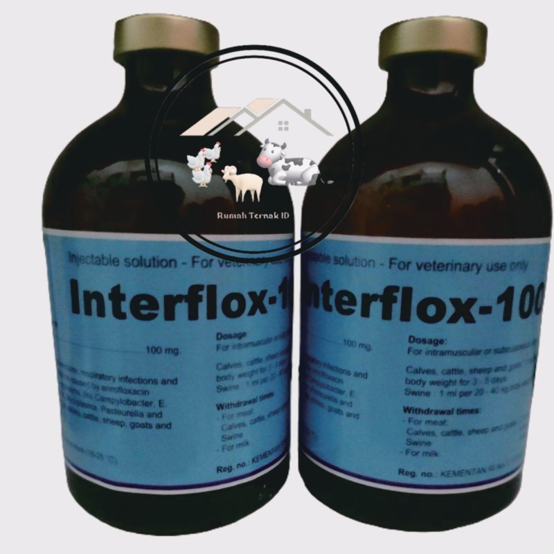 Interflox-100 | obat injeksi pernafasan dan pencernaan untuk hewan