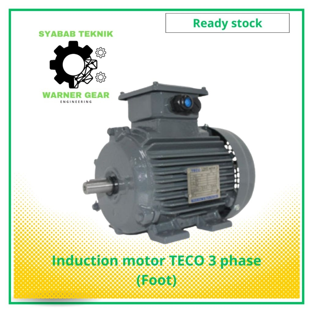 Induction motor TECO 3 phase (Foot) 4pole 3HP