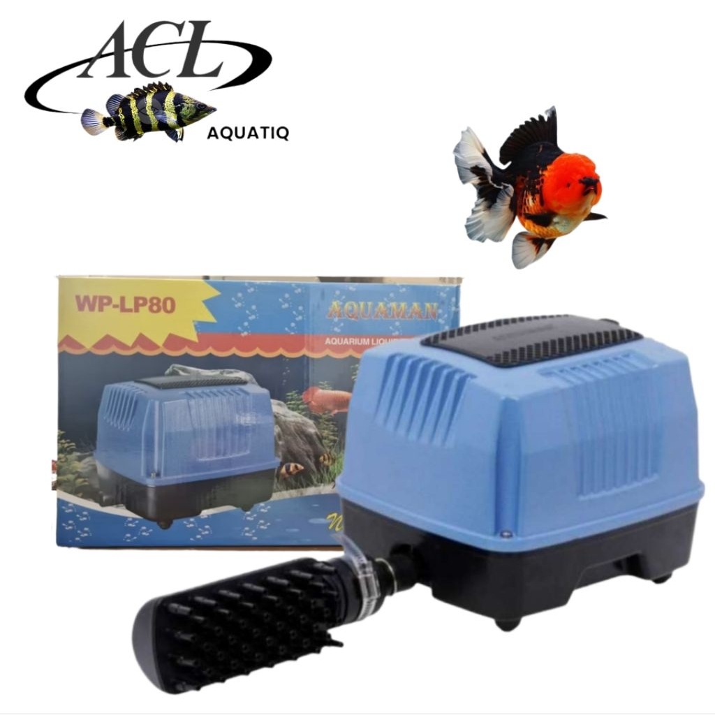 POMPA AERATOR KOLAM IKAN TEKANAN BESAR AQUAMAN-LP80-LP120 MESIN GELEMBUNG KOLAM IKAN DASAR